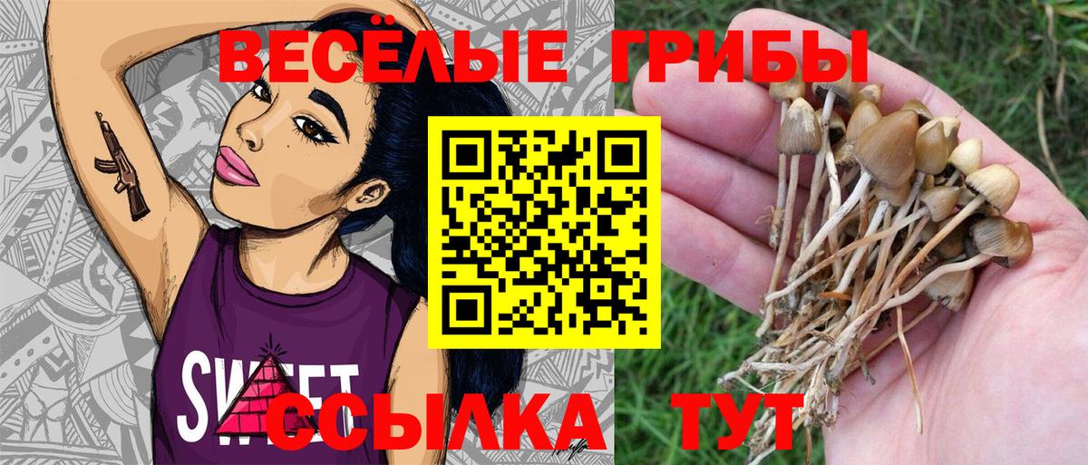 Псилоцибиновые грибы Psilocybe  Вход с VPN  Россия 