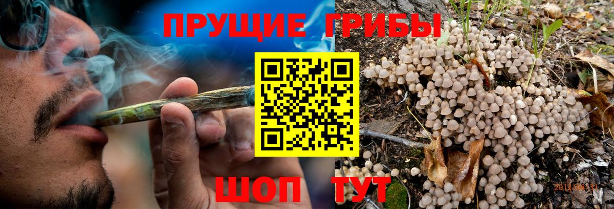 Галлюциногенные грибы Magic Shrooms Россия